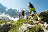 Runners on an alpine trail